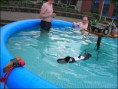 /album/photos/a20080219a-barbecue-piscine-jpg-uic1299805-1-jpg/